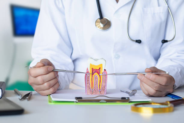 Best Emergency Tooth Extraction in Gulf Park Estates, MS